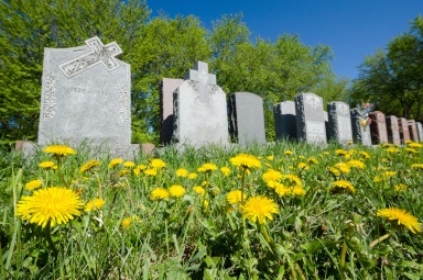 death grave