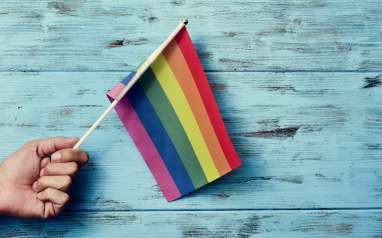 SSM vote highlights LGBT advice issues 