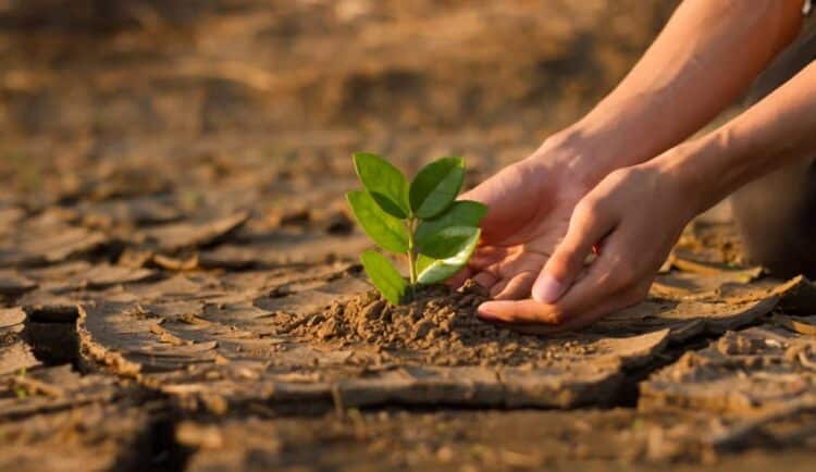 ‘Good business sense’ for advisers to recognise demand for sustainable investing