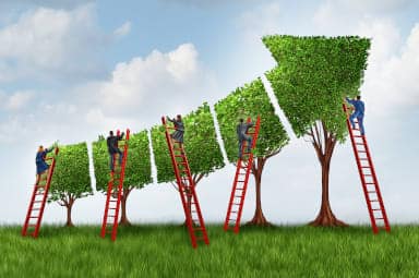 Advice levy soars