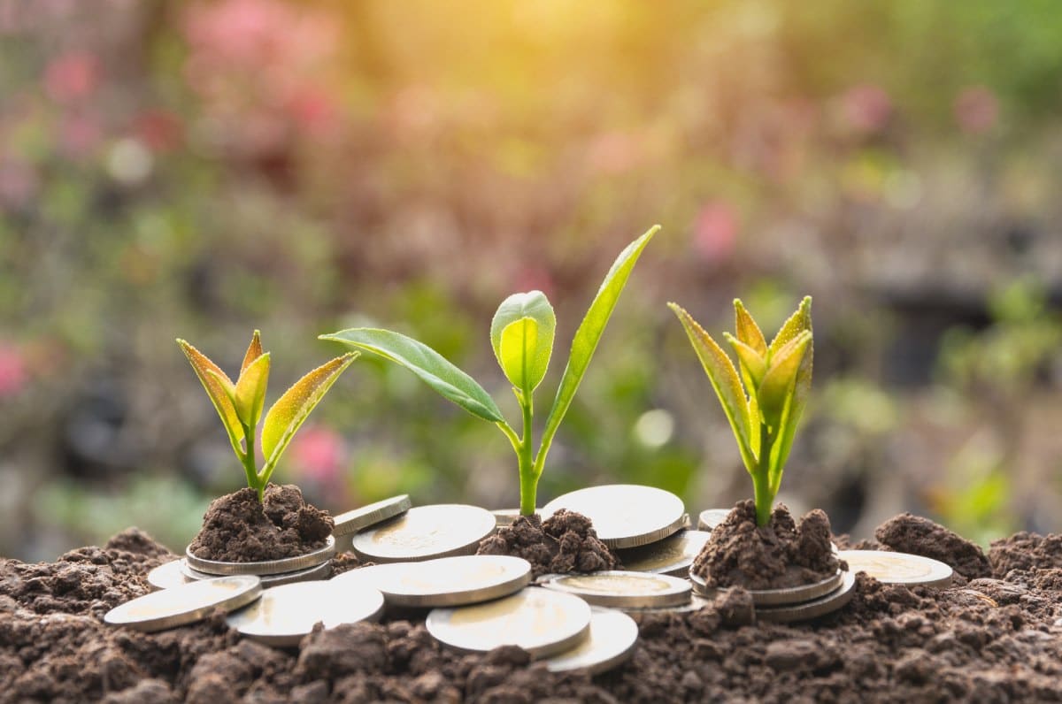 Viridian launches investment management business, announces dual ...