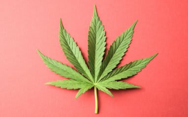 marijuana