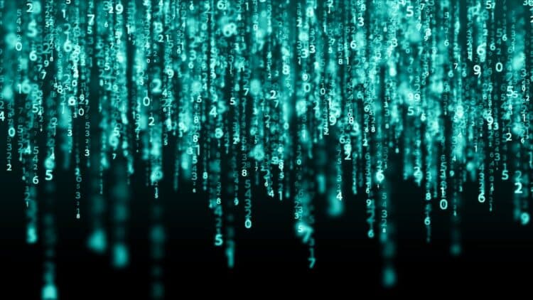Image: Dmitry/ adobe stock