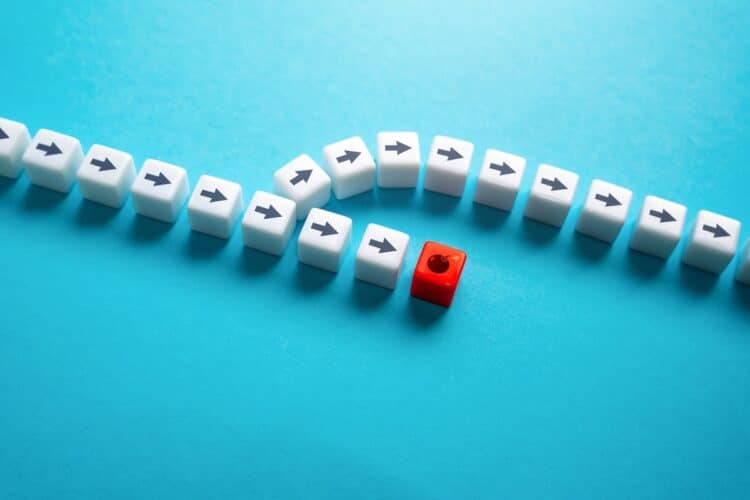 Image: Andrii Yalanskyi/stock.adobe.com