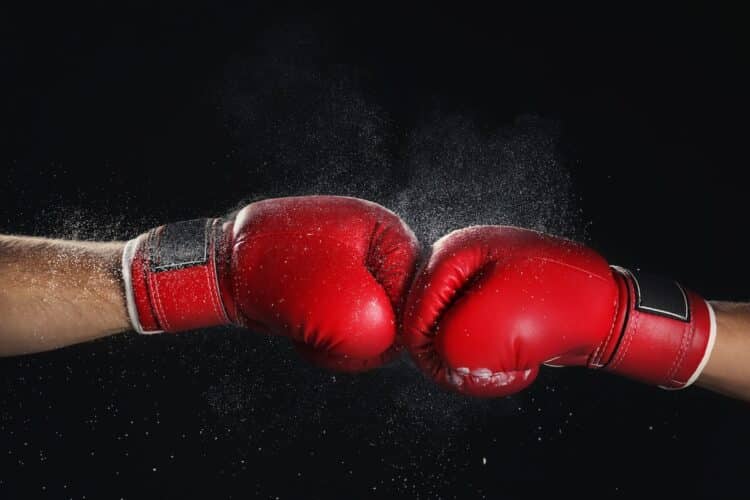 Image: Africa Studio/stock.adobe.com.au
