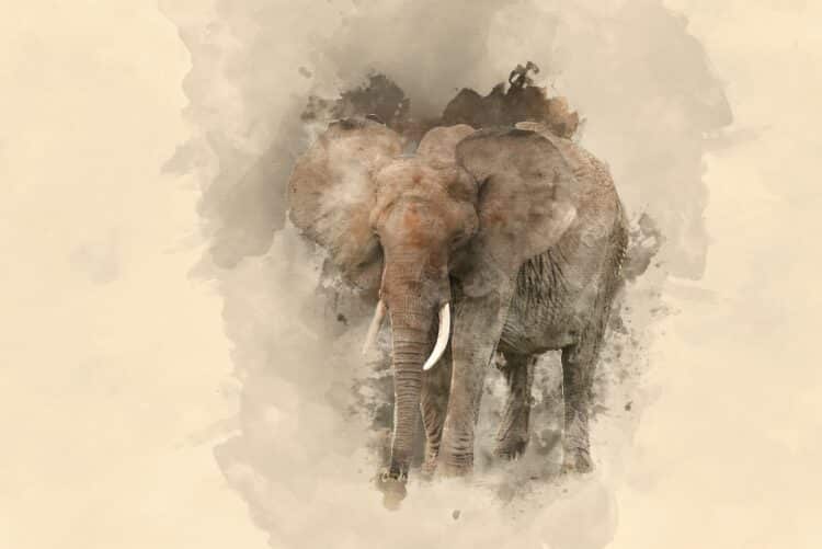 Elephant painting, Greens/Labor Senate vote on lead gen